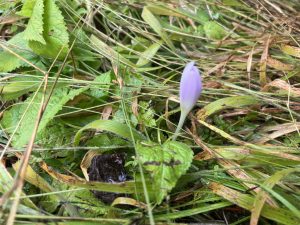 Разширяването на летището затвърждава ролята му на международен портал