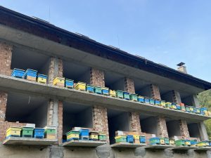 HP гледа към Китай, за да стимулира растежа