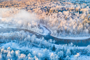 Основателят на JD.com доставя продукти за вкъщи, тъй като Meituan настоява, че не оказва натиск върху куриерите да „изберат една“ платформа · TechNode