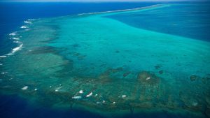 Цените на енергията са намалени, за да стоплят потребителите в селските райони