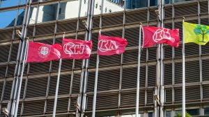 Среща с ханфу в полетата с божури на Хезе