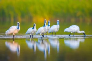 Китайските доставчици на Temu протестират в Гуанджоу заради наказателната политика · TechNode