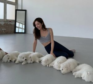 Bangkok puppy yoga studio предлага на посетителите комфорт и облекчаване на стреса за 60 щатски долара на сесия